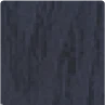 Swatch 13