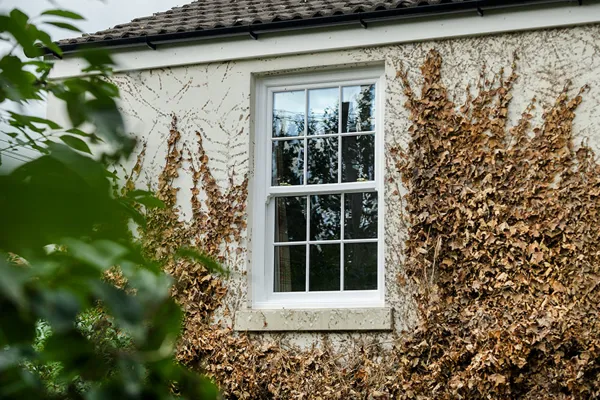 White sash window