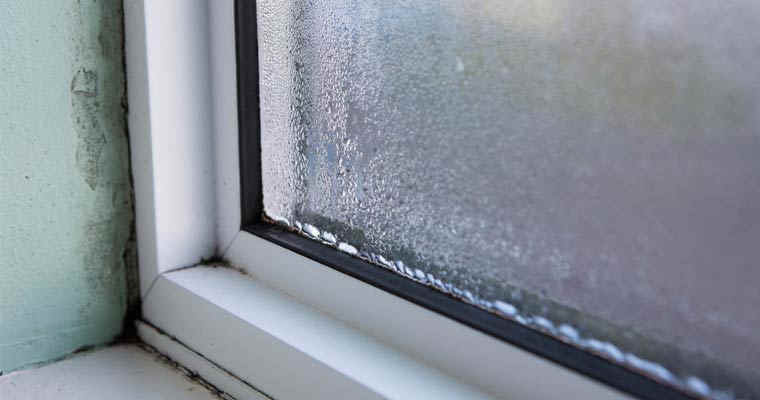 Windows Condensation