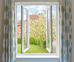 French Windows Both Open