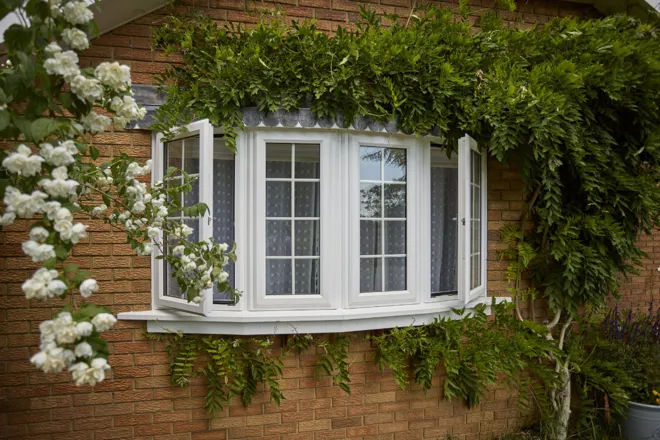 White Bay Window In Open Position With Greenery