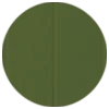 Fern Green Colour Swatch